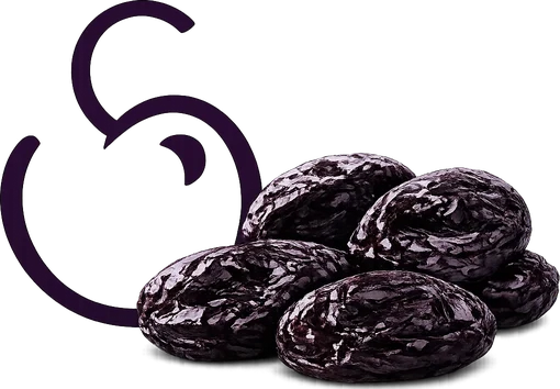Santa Sara Prunes