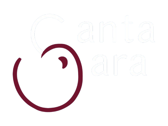 Santa Clara Logo